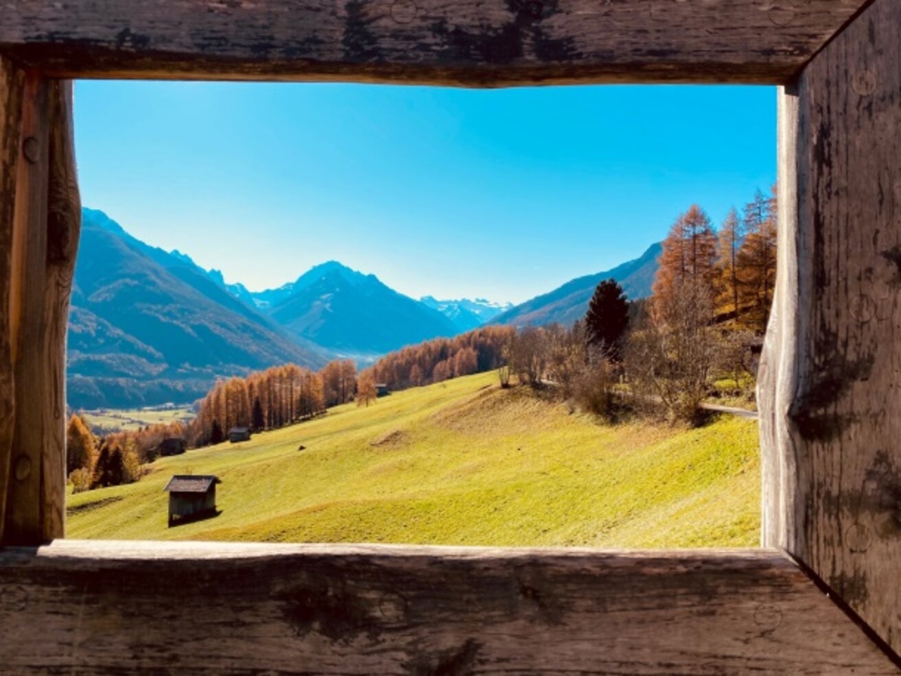 Der Goldene Herbst Der Goldene Herbst